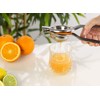 Rosenstein & Söhne Manual Citrus Juicer: Set of 2 Manual