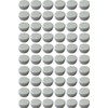 FRÜHES FORSCHEN 60 ointment cans, 6 ml capacity