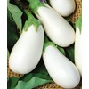 CEMEHA SEEDS - Seeds Eggplant White Thai Aubergine Non GMO