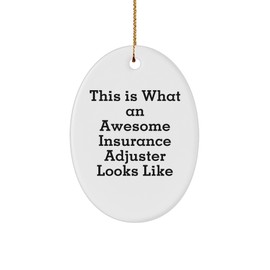 Insurance Adjuster Awesome Gifts from Friends to Insurance Adjuster for Christmas Unique Oval Ornament