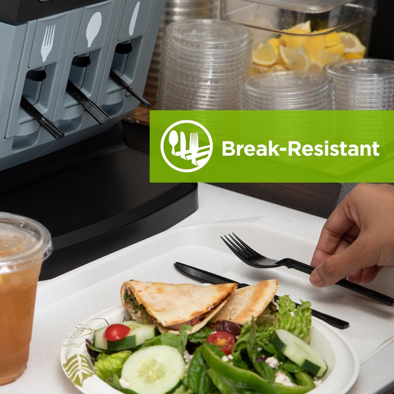 Dixie Ultra DUSSPT5 Polypropylene Soup Spoon Set, Black