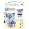 Osaka Choseido Compact Mini Crepe Koinobori Doll for Indoor Use,