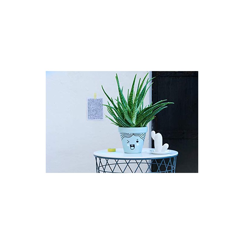 Edding 750 gloss paint marker - white - 1 paint