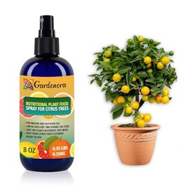 Gardenera Premium Nutritional Plant Food Spray for Citrus Trees - Balanced Nutrition Plant Superfood | Excellent Growth Booster for All Citrus Trees in Pots - 8oz