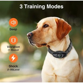 JSCLYAN Dog Training Collar w Remote Waterproof Shock Collar, Medium & Large Dog
