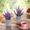 CADNLY Pianta di lavanda artificiale in vaso, fiori di lavanda