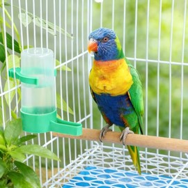 UKCOCO - Dispensador de agua para pájaros: alimentador automático de agua para pájaros para loros, palomas, Budgies, Lovebirds, verde