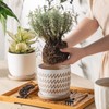 POITONRU Ceramic Flower Pots Indoor-Outdoor: 5.75 Inch Planters with Drainage
