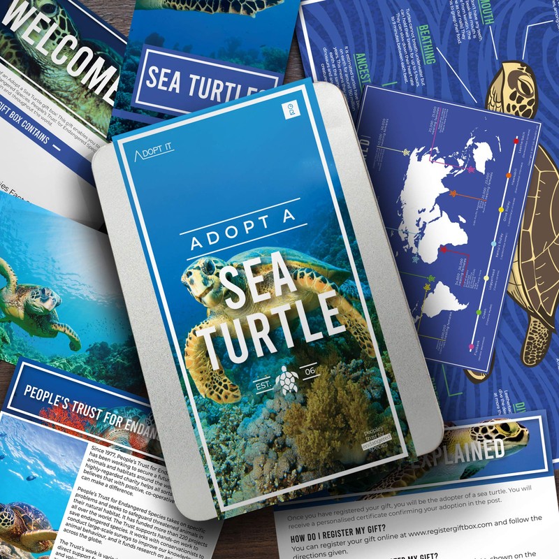Gift Republic: Adopt a Sea Turtle
