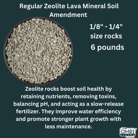 ARDEN LINE 12 lb Zeolite Natural Lava Mineral Rocks 1/8"-1/4" (3–6 mm) – Soil Amendment for Succulents, Bonsai, Odor Removal, Aquarium Filter Media (2 x 6 lb Kraft Bags & Box) Made in USA