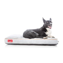 Brindle Shredded Memory Foam Dog Bed with Removable Washable Cover-Plush Orthopedic Pet Bed - 34 x 22 inches - Stone