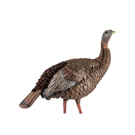 Avian-X HDR Hen Turkey Decoy | Realistic Hen Decoy with Removable Head Allowing for Multiple Head Positions, AVX8106