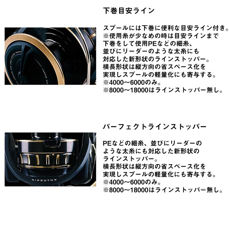 Daiwa 23BG SW 6000D-H Spinning Reel
