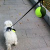 Dog Accessory Ball Holder - Leash Attachment, Lightweight Silicone for