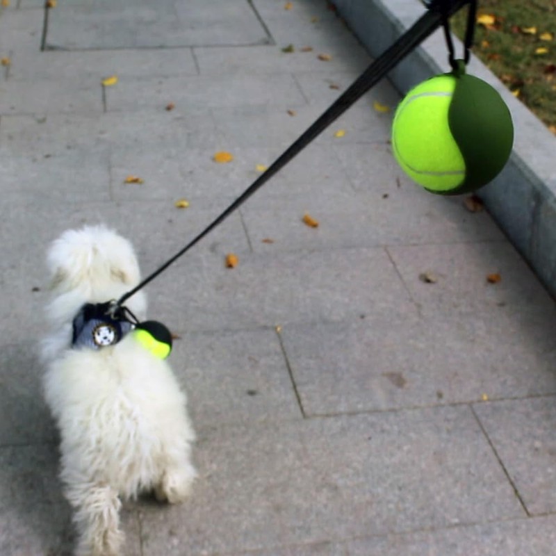 Dog Accessory Ball Holder - Leash Attachment, Lightweight Silicone for