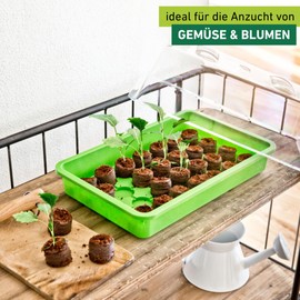 Windhager Sowing Tray, Propagation Greenhouse, Indoor Greenhouse, Green, 38 x 24 x 6 cm, 05583