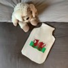'Welsh Flag' Hot Water Bottle Cover (HW00021634)