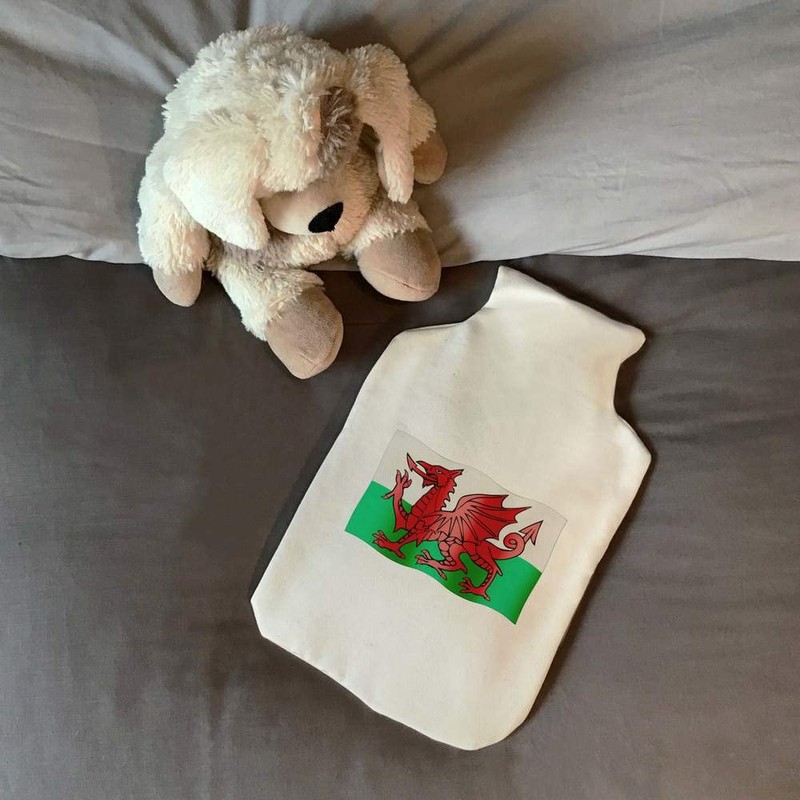 'Welsh Flag' Hot Water Bottle Cover (HW00021634)