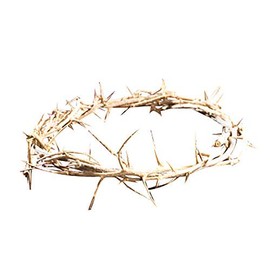 Autom 6" Crown of Thorns Wreath, Green, Grapevine, Religious/Spiritual (Lenten) Occasion