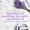 Luseta Lavender and Collagen Body Wash, Lightly Scented Daily Moisturizing