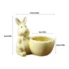 QUINTRA Easter Bunny Mini Ceramic Succulent Pots Thumb Flower Pots