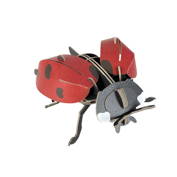 Build Your Own Beautiful Ladybird - Pull Tab Rotating Wing