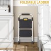 KINGRACK Sturdy Steel 2 Step Ladder, Folding Step Stool with