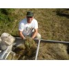 Pietron Family 1 lb. Wild Rice Minnesota Hand Harvested Wood