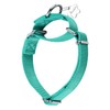 Dazzber Martingale Collars for Dogs Adjustable Durable Dog Collar Solid
