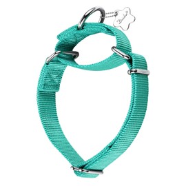 Dazzber Martingale Collars for Dogs Adjustable Durable Dog Collar Solid Color Nylon Dog Collars for Large/Medium/Small Dogs (Medium (36-53 cm) (Pack of 1), Teal Blue)