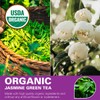 WT WEETEE Organic Jasmine Green Tea Bags, Organic Jasmine Scented
