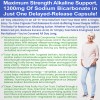 Kidney Restore Sodium Bicarbonate Capsules 1300mg – Extra Strength, 120