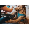 HUNTER Hilo Comfort Harness for Small Dogs, with Mesh Material