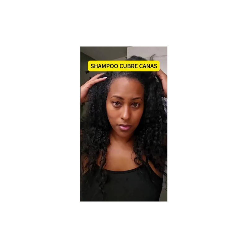 Shampoo Tinte Instantáneo Cubre Canas 3en1 Natural Jengibre