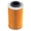 Road Passion Oil Filter for CAN-AM SPYDER GS - SM5