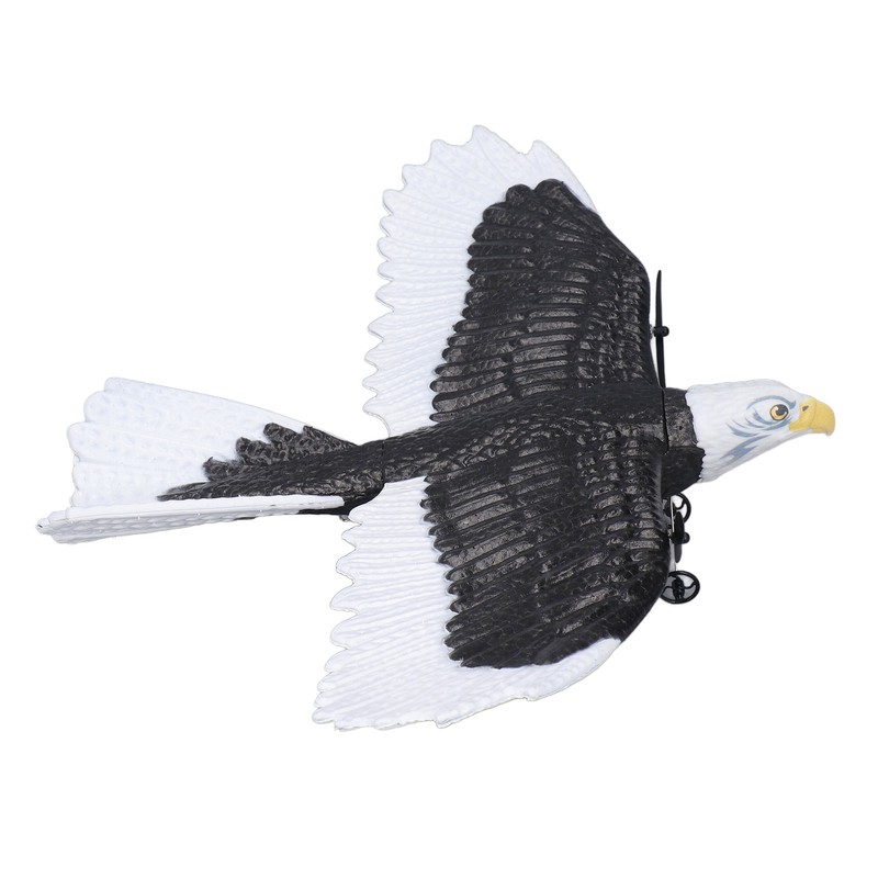 Bird Plane Toy 2 Channels Broken Resistant Remote Control Bird