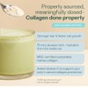 Rheal Marine Collagen Powder 303g