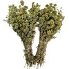 Greek Dried Mountain Oregano Bunch 220g - 1.95Kg Origanum Vulgare