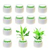 Leuiseruoa 12 Pack Aquarium Plant Weights, Upgrade Plant Weights for
