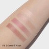 Lunasol Eye Coloration N 06 [Eye Shadow]