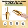 Roshtia 12 Pcs Gold Ice Scoops Stainless Steel Mini Scoop