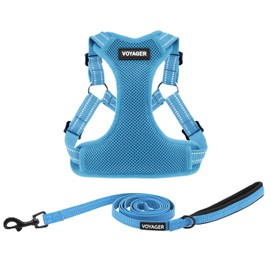 Best Pet Supplies Voyager Adjustable Dog Harness Leash Set with Reflective Stripes for Walking Heavy-Duty Full Body No Pull Vest with Leash D-Ring, Breathable All-Weather Wear - Baby Blue, L