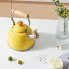 ROCKURWOK Tea Kettle, Tea Pot with Cool Touch Ergonomic Handle,