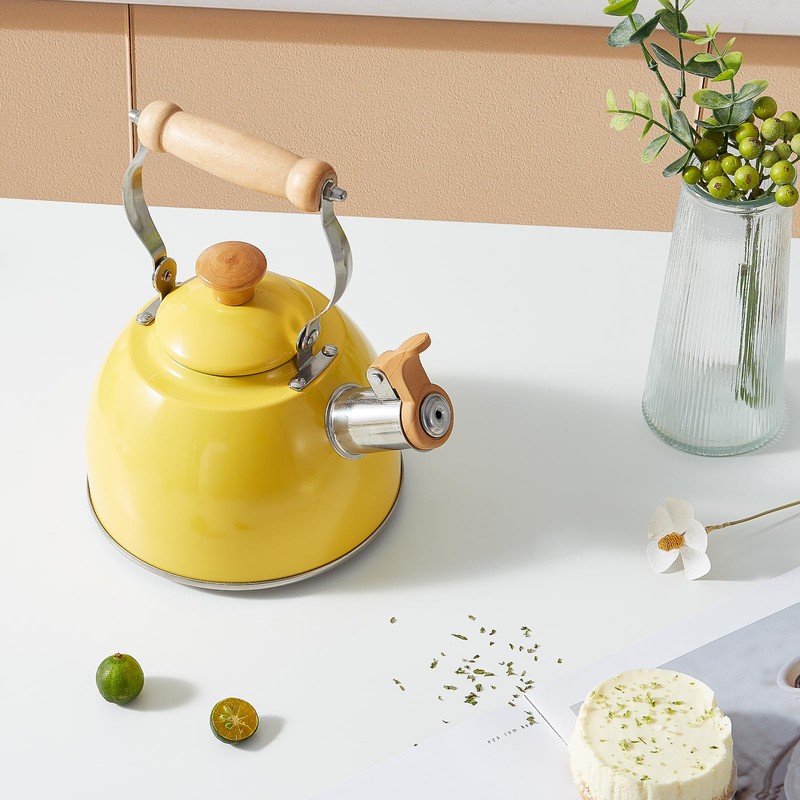 ROCKURWOK Tea Kettle, Tea Pot with Cool Touch Ergonomic Handle,