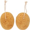 Esponja Exfoliante Corporal Diochefac01g679m 2 Unidades - Cuidado Diario