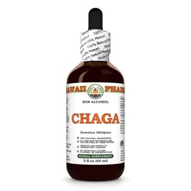 Chaga (Inonotus Obliquus) Dry Whole Mushroom Glycerite, Made in Hawaii, All Natural, Vegan, Lab Tested Alcohol-Free Liquid Extract - 2 fl.oz