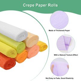 M METERXITY 2-Pack Crepe Paper Rolls, 8.2ft x 20"(LxW) Soft Paper Streamer Sheet, Decorative Craft Streamer, Wide Crepe Paper Sheets for DIY/Wrapping Paper Crafts/Decoration [Lotus Color]