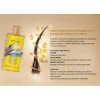 Terramar Brands Oleo de Argan By Terramar Tratamiento Reparador Cabello