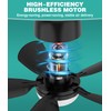 HK Socket Fan Light, 20 Inch Screw Ceiling Fans with