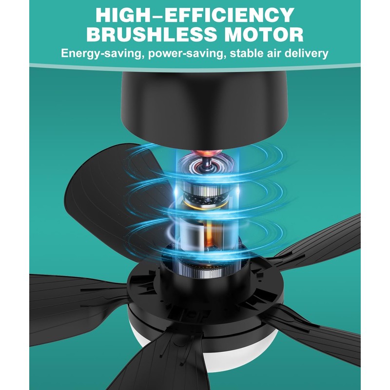 HK Socket Fan Light, 20 Inch Screw Ceiling Fans with